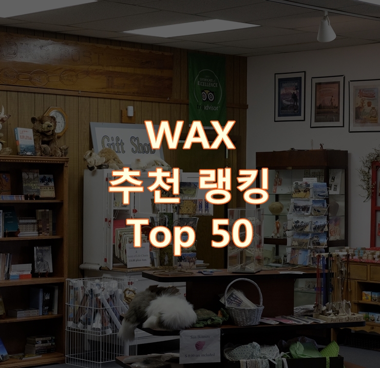 가성비 좋은 WAX 랭킹 Top 50