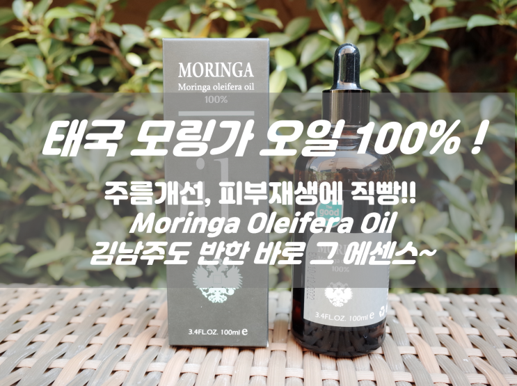  태국 모링가오일 주름개선 피부재생 효과 김남주 오일