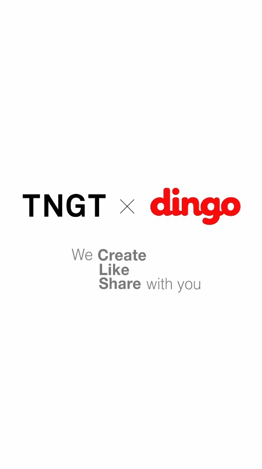  [추천]TNGT X dingo 가죽 자켓 홍보 영상 기획전
