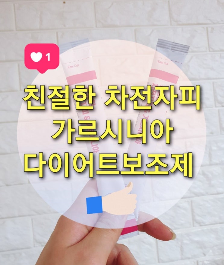  먹으면 배가 부른다?친절한 차전자피 가르시니아 다이어트보조제 후기