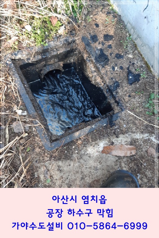  아산시 염치읍 공장 하수구막힘 화장실물이안내려가요 하수구뚫는작업진행했습니다