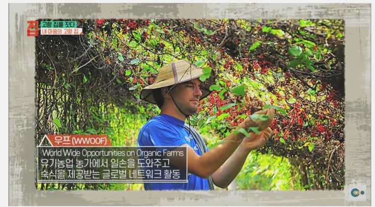  직접지은집의 우프숙소 업사이클링한 온실을 소개한 {EBS컬렉션라이프스타일}