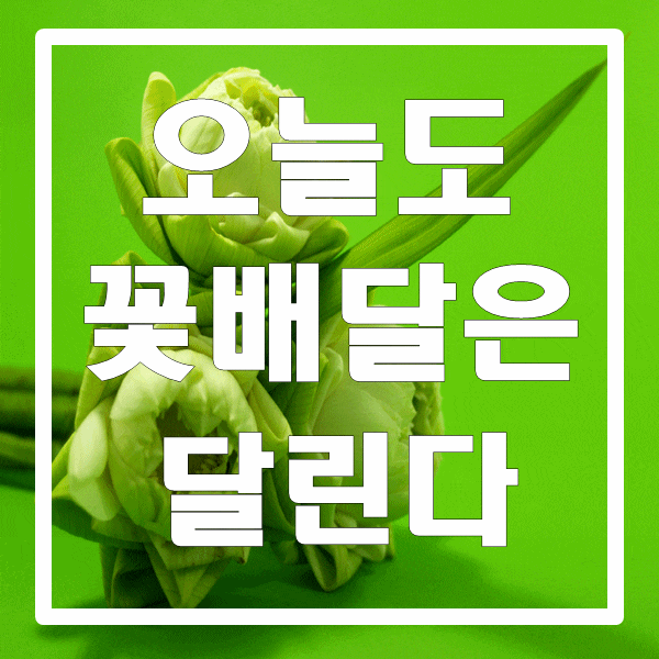 오늘도 꽃배달은 달립니다.