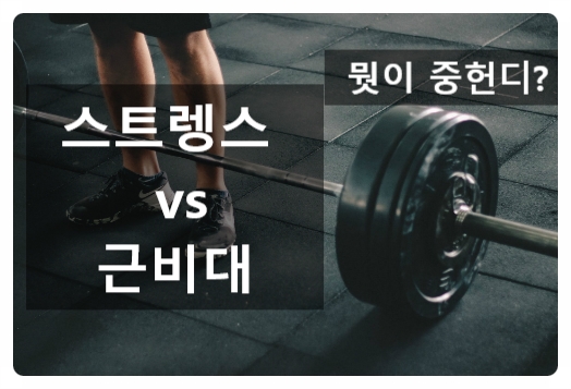  (광교피티) 운동초보자라면 근력 vs 근비대트레이닝 무엇이 먼저일까?