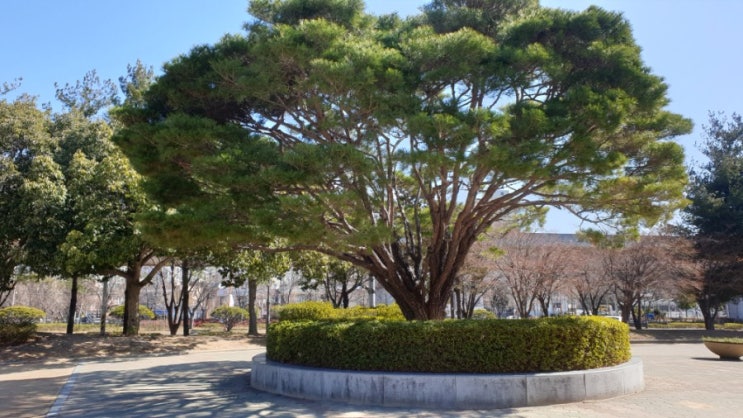  김해연지공원 나들이
