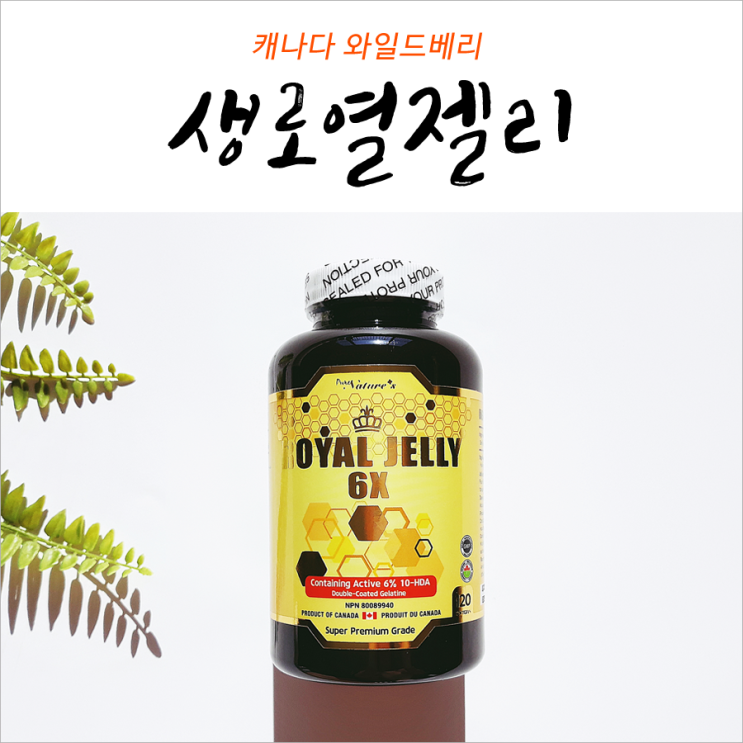  ROYAL JELLY 와일드베리 괜찮네