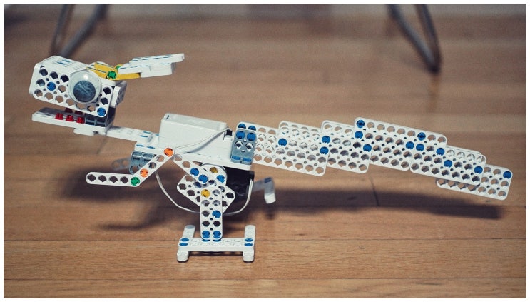  코리아케라톱스 화성엔시스 (a7m3 + fe35/1.8)