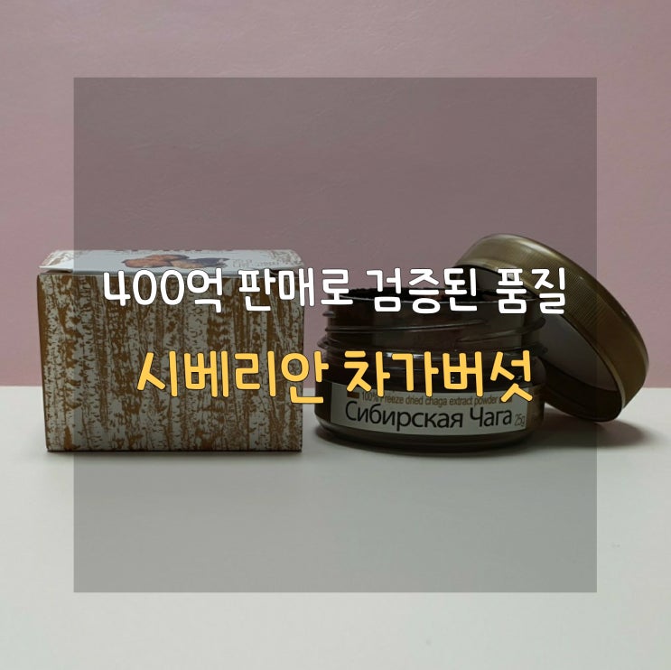  [딱 지금 필요, 면역력 증진 위한] 비타민하우스 시베리안 차가버섯