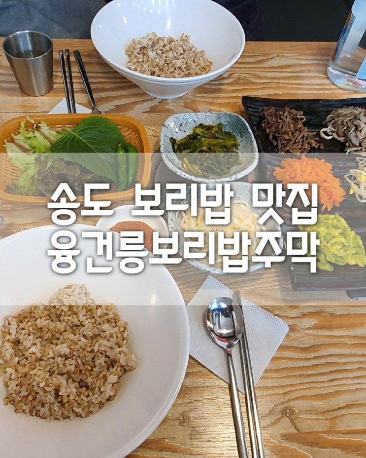 인천 송도 보리밥 맛집 융건릉보리밥주막 좋드아~