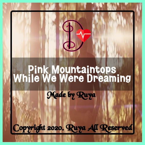 세인트 클라우드  Charlie St. Cloud  - Pink Mountaintops 핑크 마운틴 탑스 While We Were Dreaming