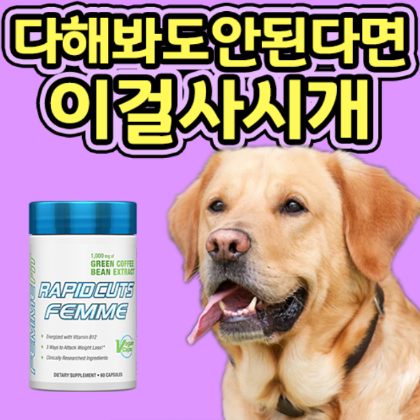  팔뚝살빼는 최고의 운동 feat 래피드컷츠팸