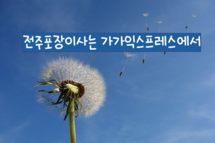  전주포장이사 만족스러운 이사는 여기~ 할인이벤트까지!