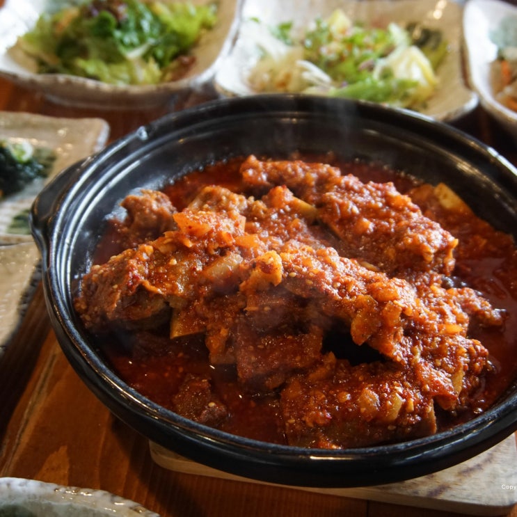  일산 애니골 맛집 들안길 매운갈비찜 맛있어