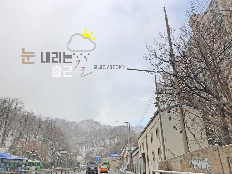  지난밤 하얀 흰 눈 꿈해몽을 찾아보았어요