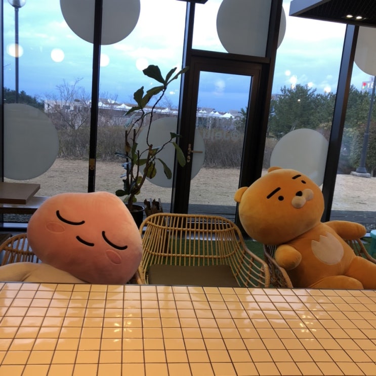  제주도 가볼만한곳:) 카카오가 너무 이쁜 카카오본사