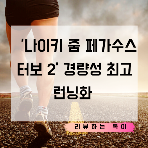  '나이키 줌 페가수스 터보 2' 경량성 최고인 런닝화~!!