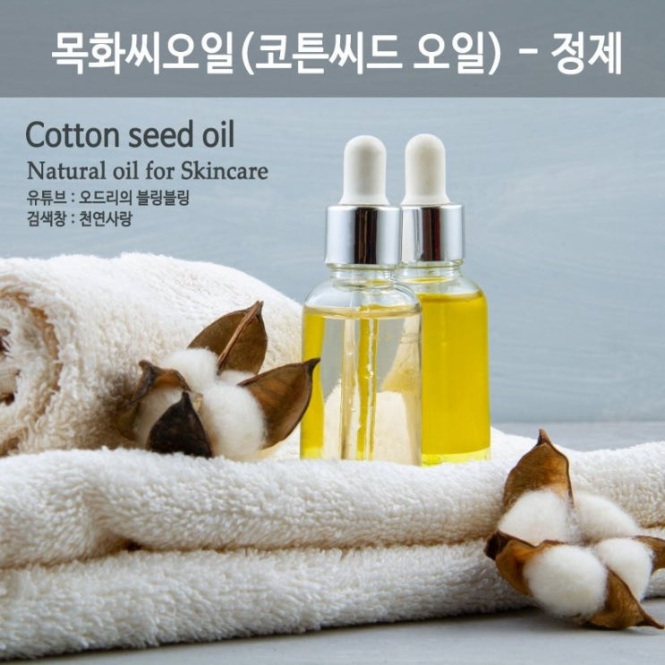 유행을 선도하는 인싸들의 BEST 목화씨오일 제품 20위! (LION SHOPPING) 유행을 선도하는 인싸들의 BEST 목화씨오일 제품 20위! (LION SHOPPING)