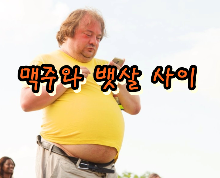  소맥vs치맥 칼로리 계산, 공칼로리, 킬로칼로리 뜻