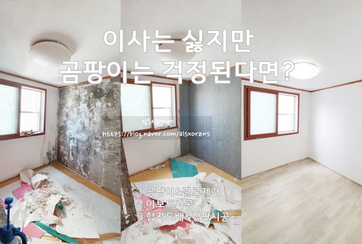  안산도배 고잔동도배 이사는 싫지만 곰팡이는 걱정된다면?