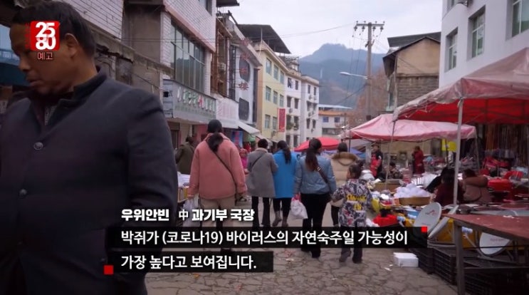 코로나19 원인은 박쥐? 하지만 인간의 탐욕이 만든 전염병 코로나19 원인은 박쥐? 하지만 인간의 탐욕이 만든 전염병