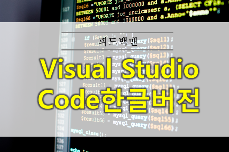  visual studio code 한글버전