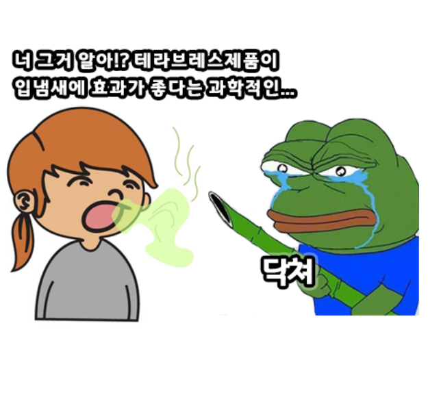  입냄새 없애기 대작전 feat. 테라브레스 가글
