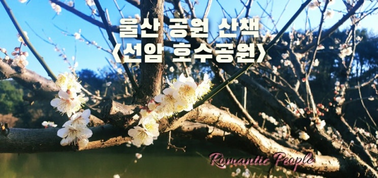 울산 선암 호수공원 울산 선암 호수공원