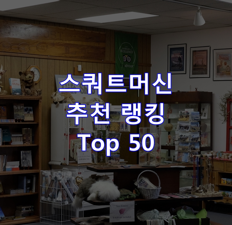  인기 좋은 스쿼트머신 리뷰 베스트 50