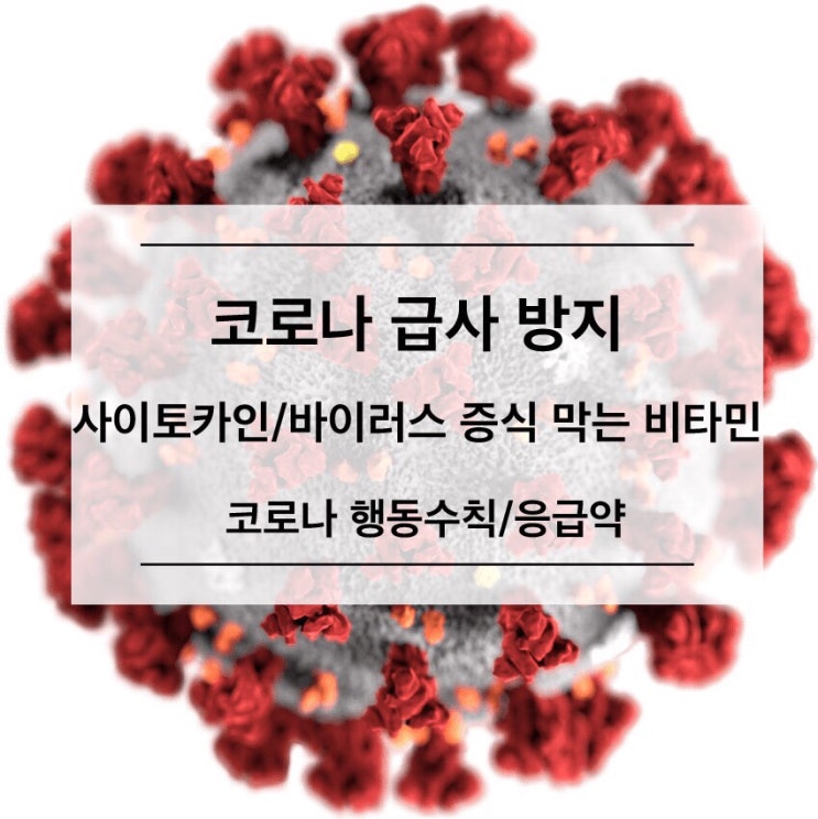  [코로나 급사 막는법]사이토카인 폭풍/소독/행동요령 (카톡 전달용, 계속 업데이트 중)
