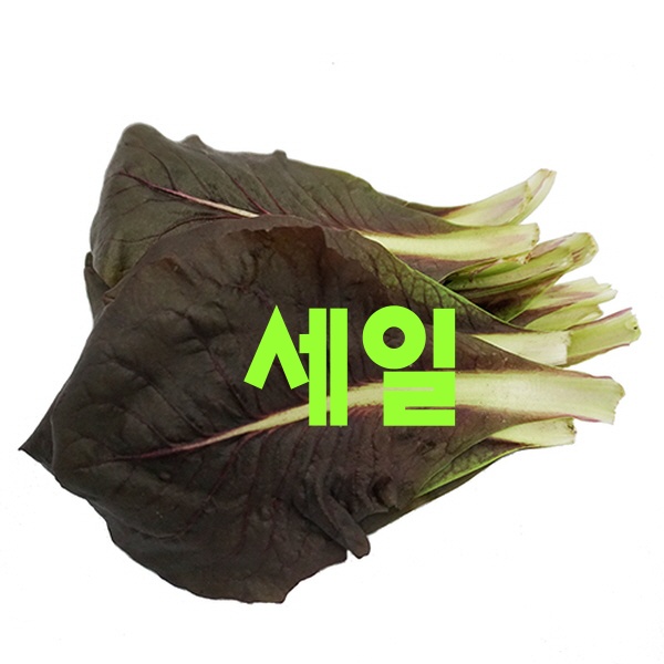  쿠팡 검색하면 바로 나오는 콘샐러드 - 10가지 -(신선) 잎치콘 약 1kg 치콘 국내산 쌈채소 샐러드, 단일상품