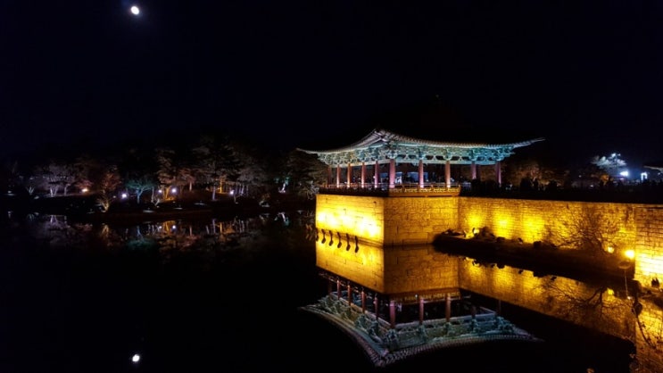  대구 근교 나들이 경주 여행 [동궁과월지, 콜로세움, 핑크뮬리, 첨성대, 대릉원]