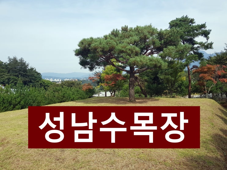  성남수목장 어디가 좋을까요?