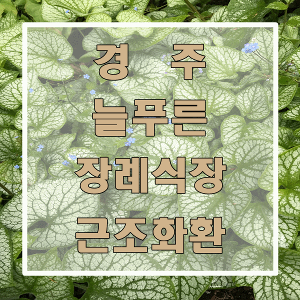  경주 늘 푸른 장례식장 근조화환 빠른 배송 가능한 곳