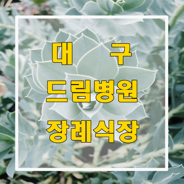  대구  드림병원 장례식장 근조화환 품질 좋고 배송 빠른 꽃집