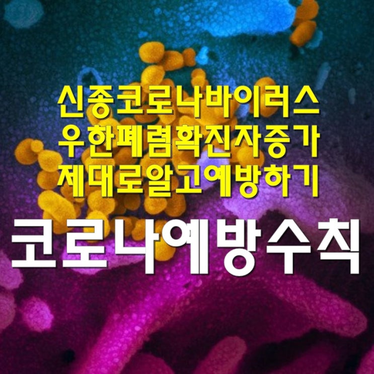  신종 코로나19 바이러스 확진자 증가! 제대로 알고 예방하기 코로나19 예방수칙
