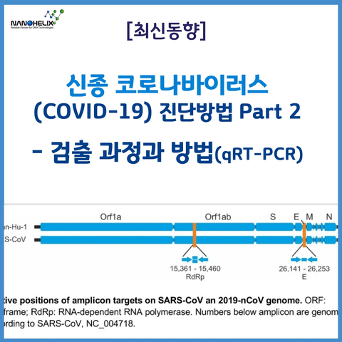 [최신동향] 신종 코로나바이러스(COVID-19) 진단 방법 Part 2 - 검출 과정과 방법(qRT-PCR)