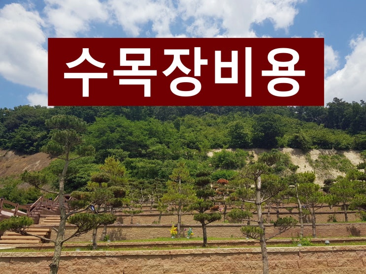  수목장비용에 대해 바르게 알아보겠습니다.