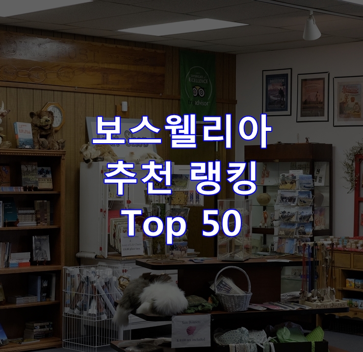  인기 좋은 보스웰리아 랭킹 Top 50
