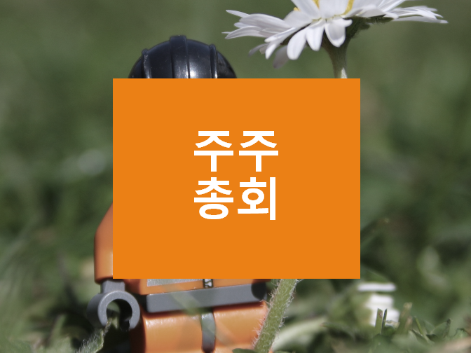  주주총회 권한과 소집절차만 봐도 설립 한방에 끝?!!
