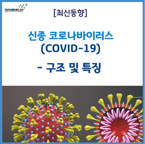  [최신동향] 신종 코로나바이러스(2019 Novle Coronavirus) - 구조 및 특징