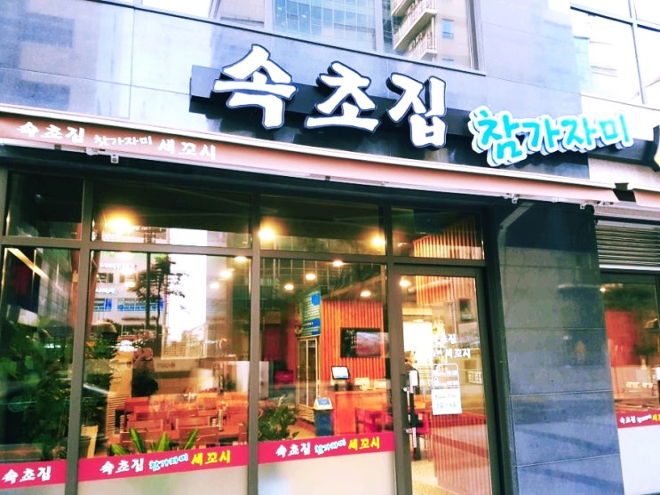 [경기대 맛집, 광교 횟집] 속초집 참가자미 세꼬시