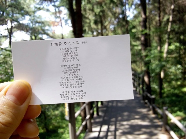  안개꽃 추억으로 - 이문세
