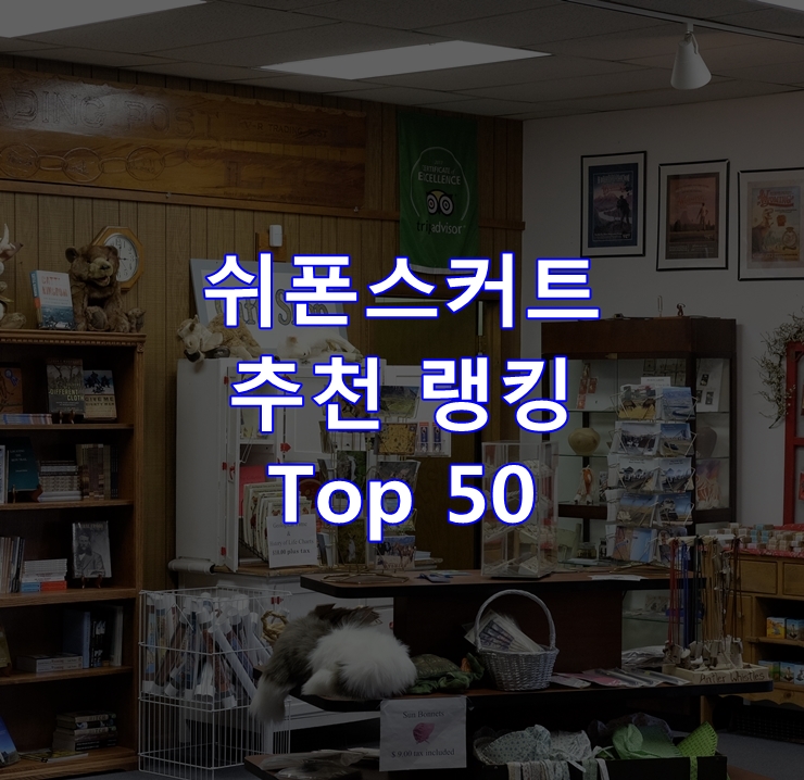 가성비 좋은 쉬폰스커트 순위 Top 50