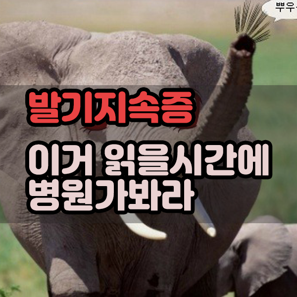  발기지속증 이거 읽을시간에 병원가봐라