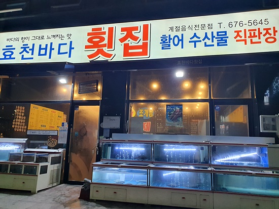  [광주 맛집] 효천지구 맛집, 효천바다횟집 싱싱한 회!