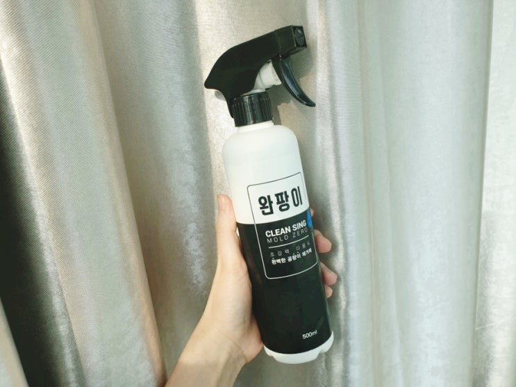  내돈내산) 전세집 곰팡이없애기 ! 락스저리가라 완팡이