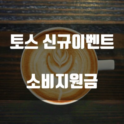  토스 신규 이벤트 - 소비지원금