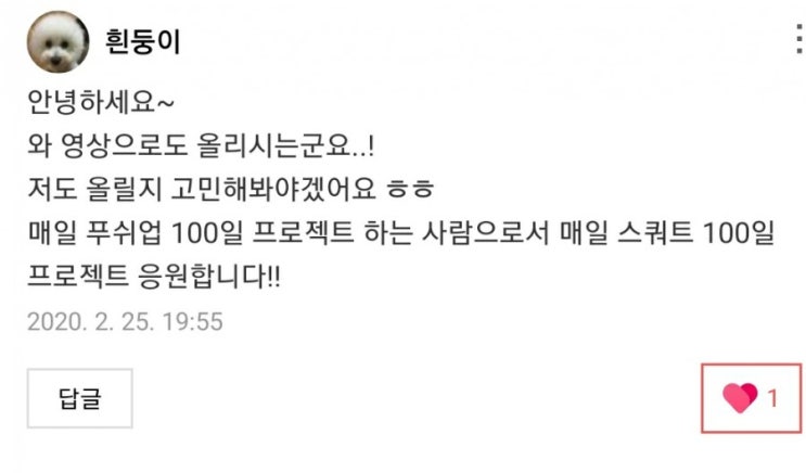  18일차 매일스쿼트100개