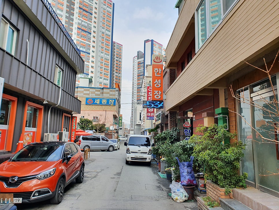한성장 사진 5