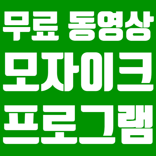  동영상 모자이크 하기[icooplayer]